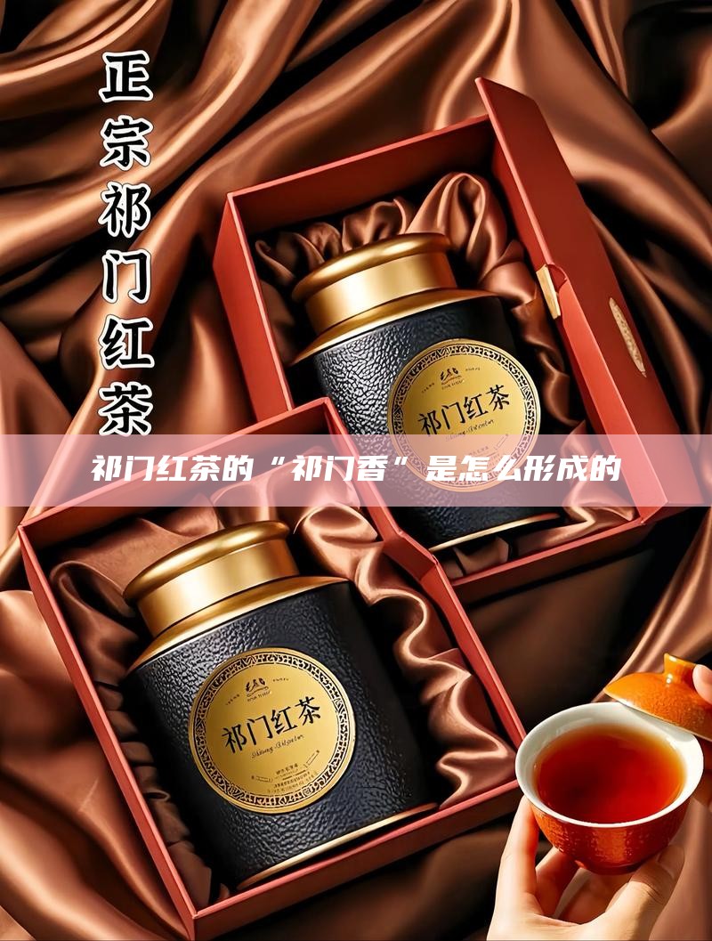 祁门红茶的“祁门香”是怎么形成的